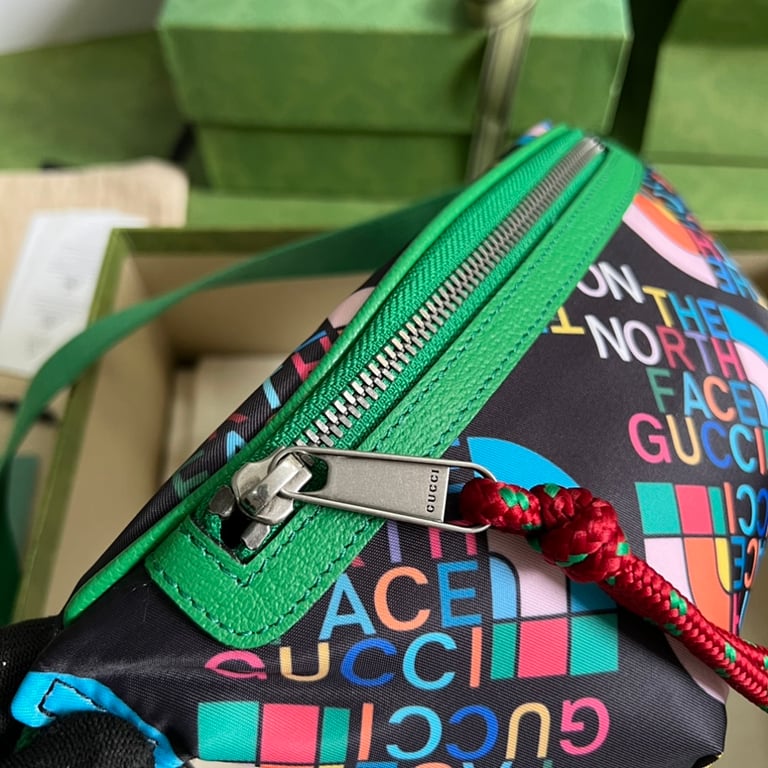 The North Face x Gucci Belt Bag 650299 Multicolor - 5