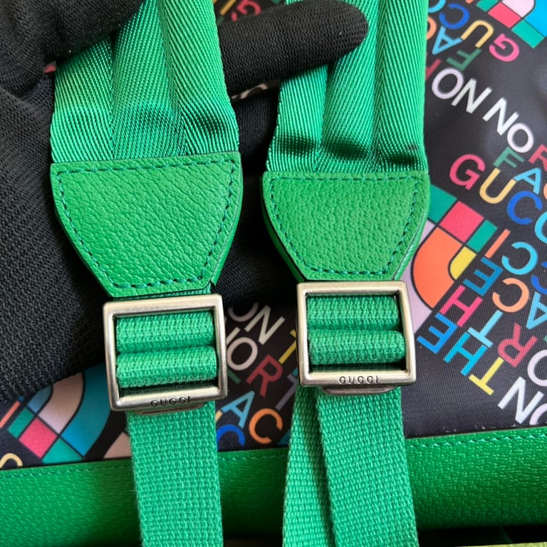 Gucci x The North Face Backpack 650288 Multicolor - 4