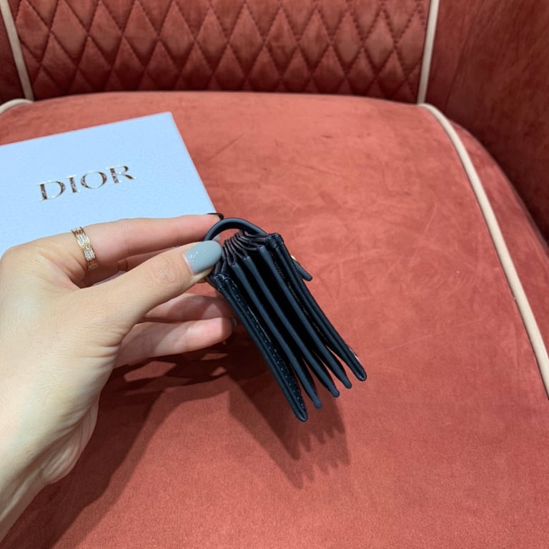 Dior Oblique Accordion Card Holder Blue - 5