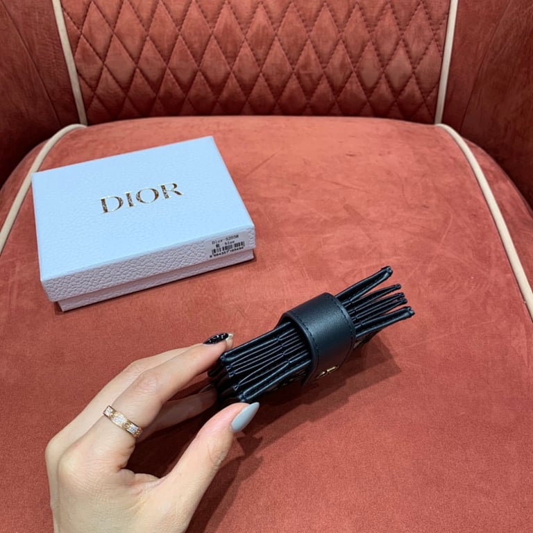 Dior Oblique Accordion Card Holder Blue - 7