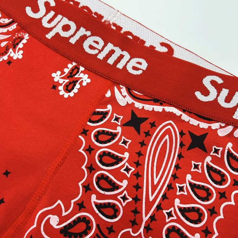 Supreme x Hanes Bandana Boxer Briefs (2-Pack) - 11