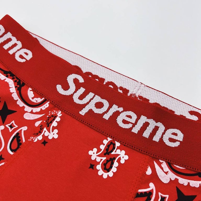 Supreme x Hanes Bandana Boxer Briefs (2-Pack) - 12