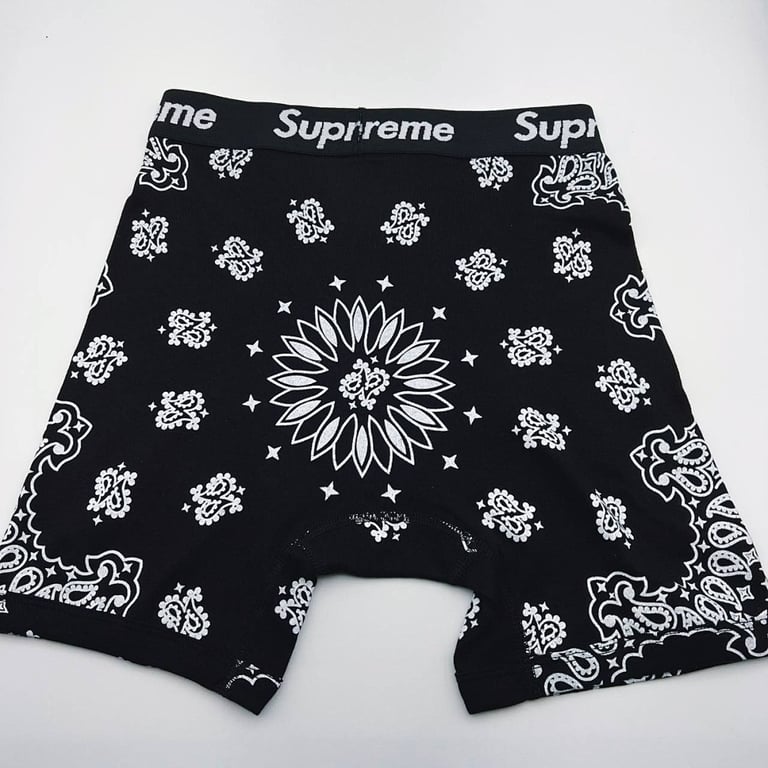 Supreme x Hanes Bandana Boxer Briefs (2-Pack) - 15