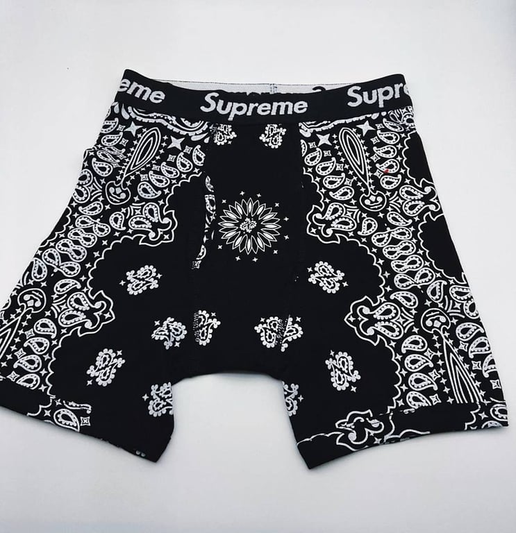 Supreme x Hanes Bandana Boxer Briefs (2-Pack) - 16