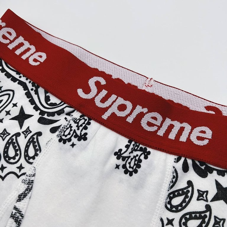 Supreme x Hanes Bandana Boxer Briefs (2-Pack) - 6