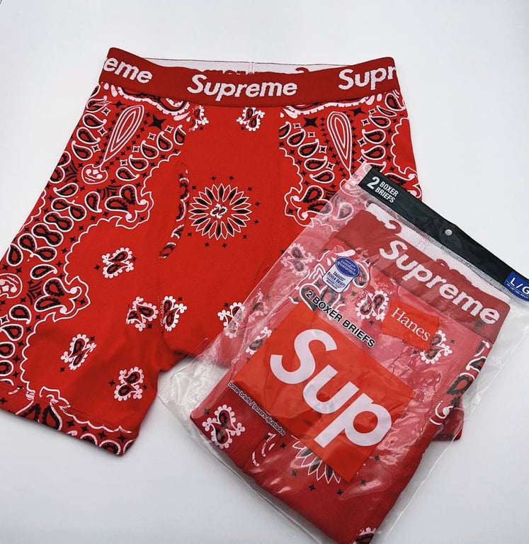 Supreme x Hanes Bandana Boxer Briefs (2-Pack) - 8