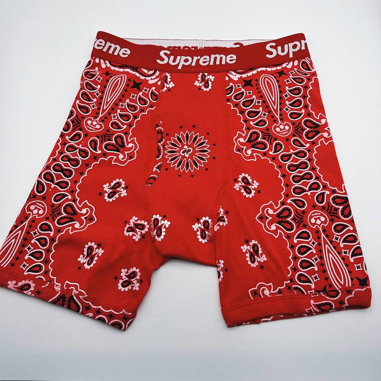 Supreme x Hanes Bandana Boxer Briefs (2-Pack) - 9