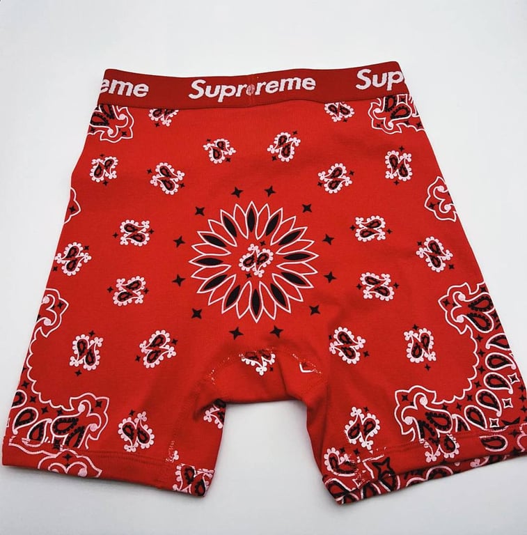 Supreme x Hanes Bandana Boxer Briefs (2-Pack) - 10