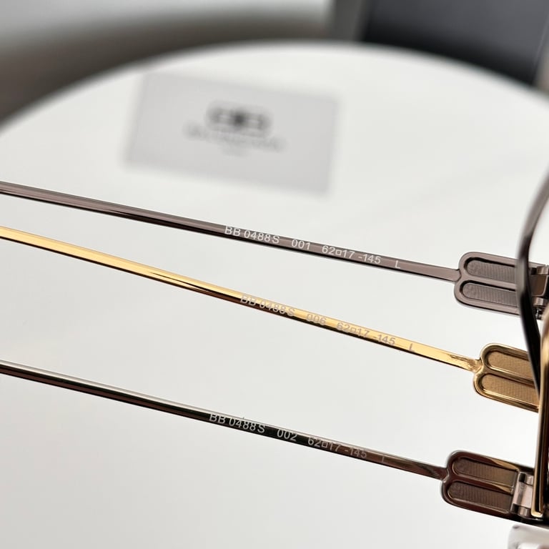 Balenciaga BB0488S Sunglasses - 5