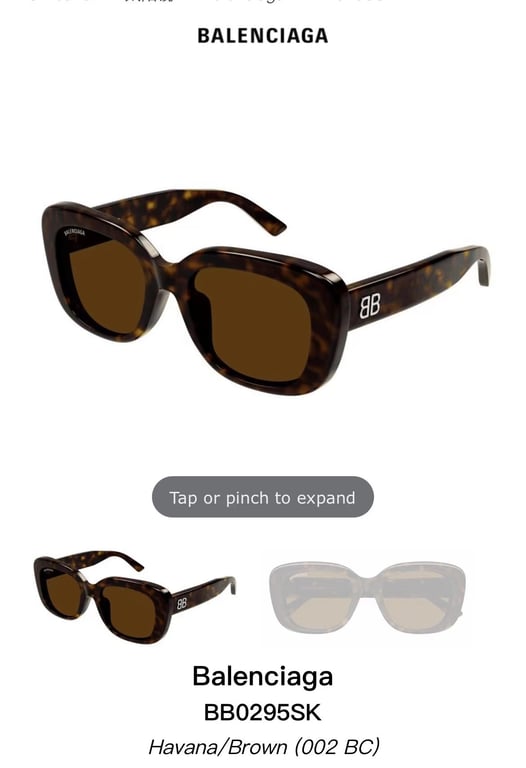 Balenciaga BB0295SK Sunglasses - 2