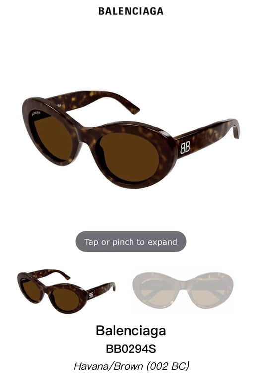 Balenciaga BB0294SK Sunglasses - 2