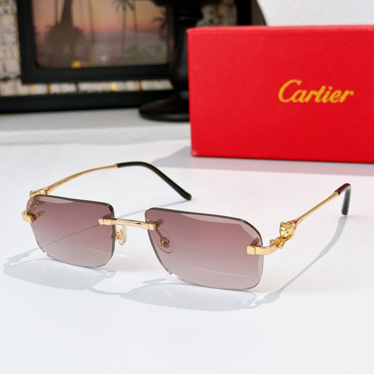 Cartier CT0281O Panthère Rimless Glasses - 2