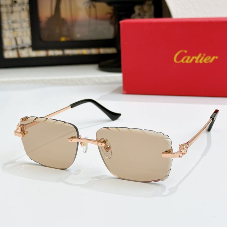 Cartier CT0805S Rimless Sunglasses - 2