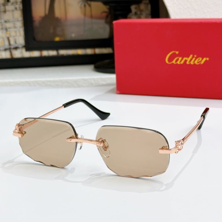 Cartier CT0804 Rimless Sunglasses - 4