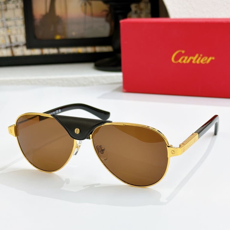 Cartier CT0418 Aviator Sunglasses - 2