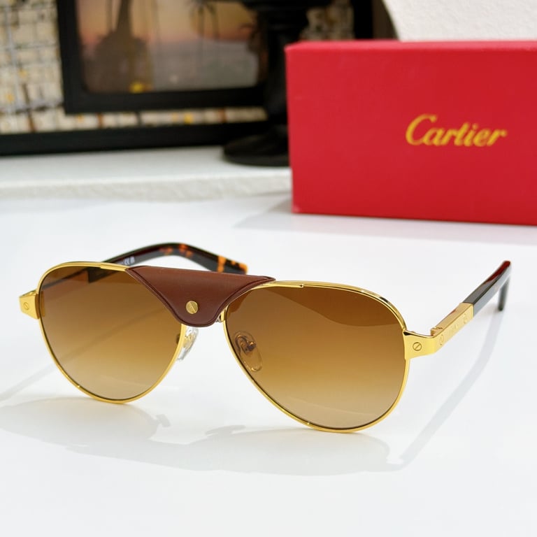 Cartier CT0418 Aviator Sunglasses - 3