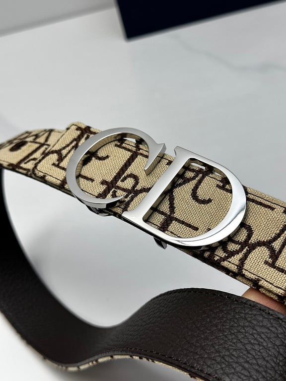 Dior CD Buckle Belt Oblique Canvas - 2