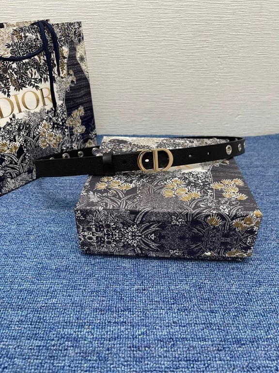 Dior CD Buckle Belt with Eyelets - 2