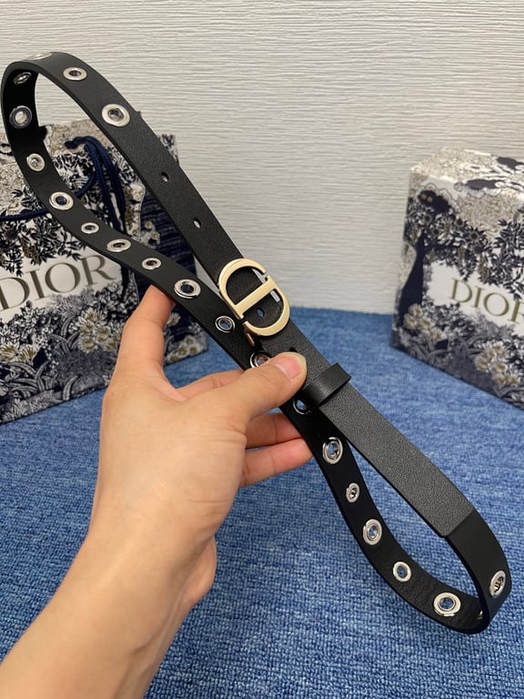 Dior CD Buckle Belt with Eyelets - 3