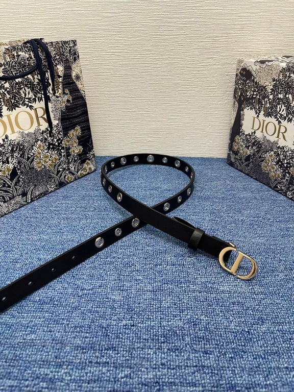 Dior CD Buckle Belt with Eyelets - 6