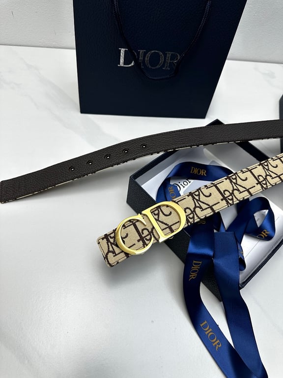 Dior Oblique Belt with Gold CD Buckle - 5