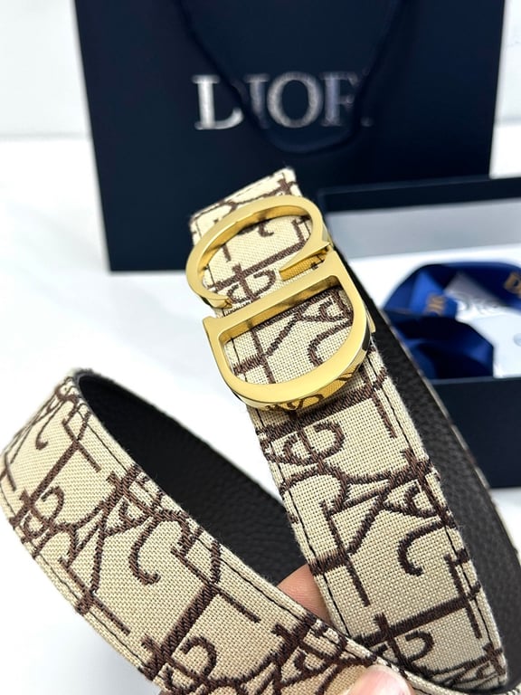 Dior Oblique Belt with Gold CD Buckle - 6