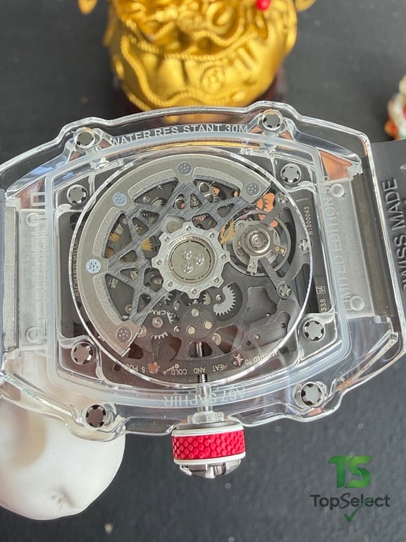 Richard Mille RM67-02 Crystal Case - 8