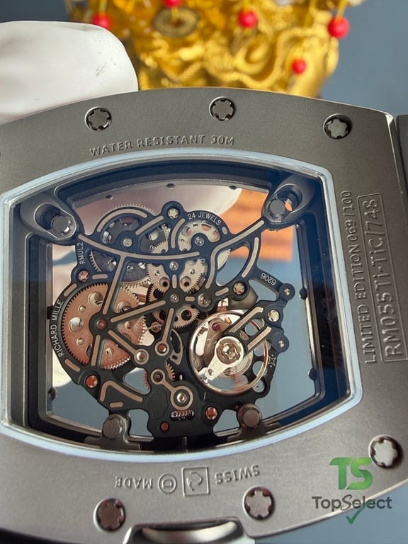 Richard Mille RM055 Gray Ceramic Skeleton Watch - 13