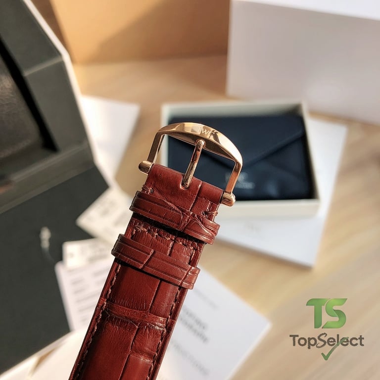 IWC Portofino Chronograph IW391020 Rose Gold - 5