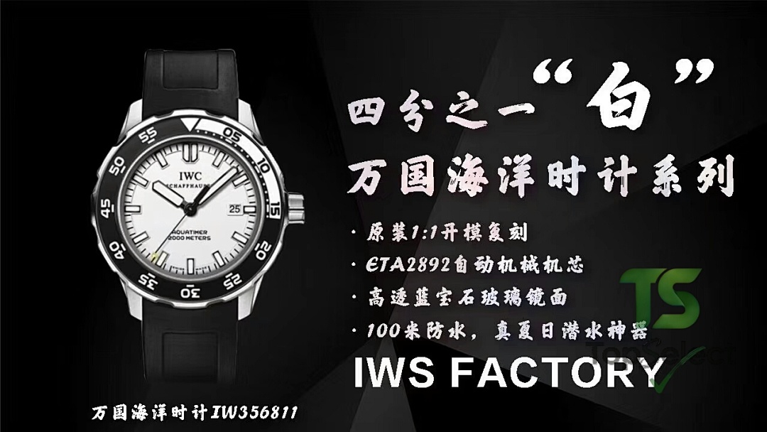 IWC Aquatimer 2000 Meters IW356802 / IW356811 - 2
