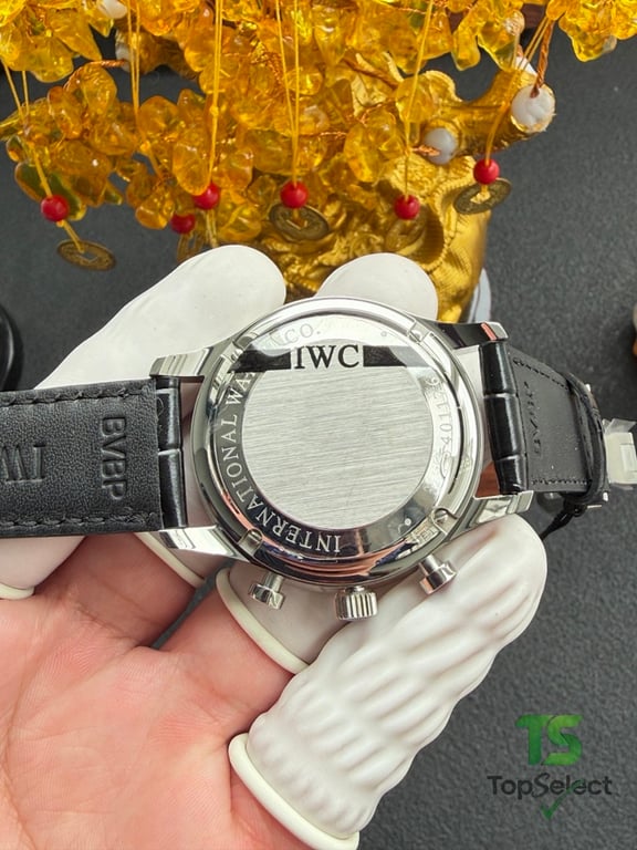 IWC Portugieser Chronograph Silver Dial Blue Numerals - 12