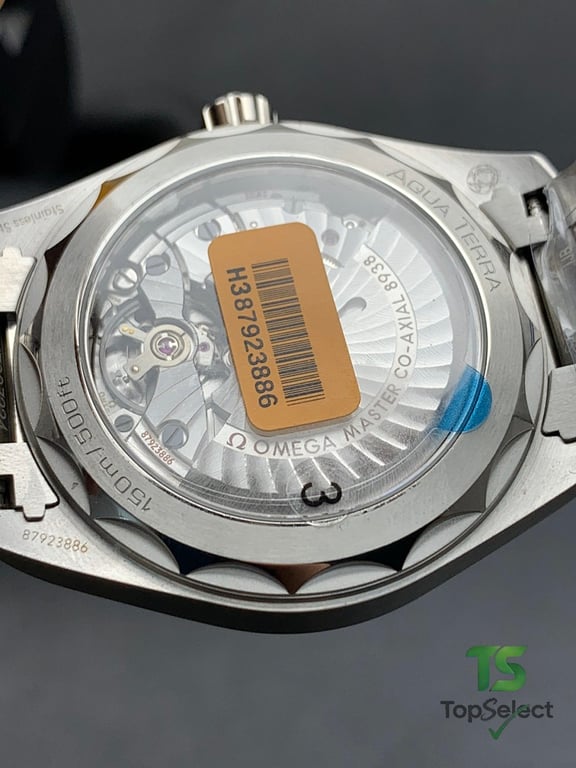 Omega Seamaster Aqua Terra Worldtimer Blue Dial - 2