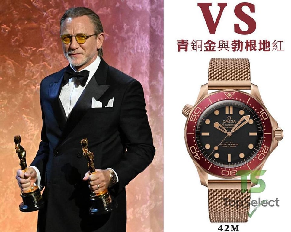 Omega Seamaster 300m 007 Bronze Gold Burgundy - 2