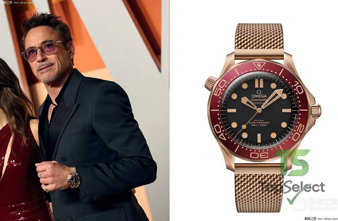 Omega Seamaster 300m 007 Bronze Gold Burgundy - 4