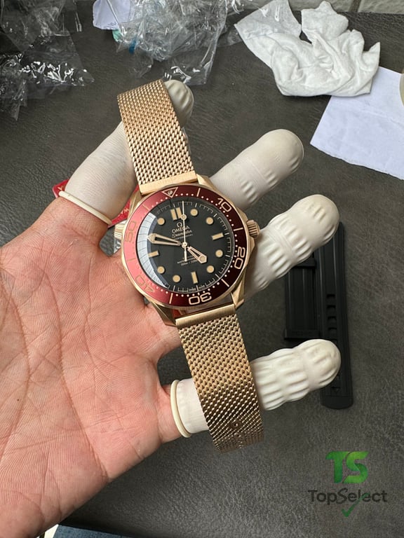 Omega Seamaster Diver 300M Bronze Gold Burgundy - 11