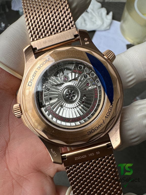Omega Seamaster Diver 300M Bronze Gold Burgundy - 5