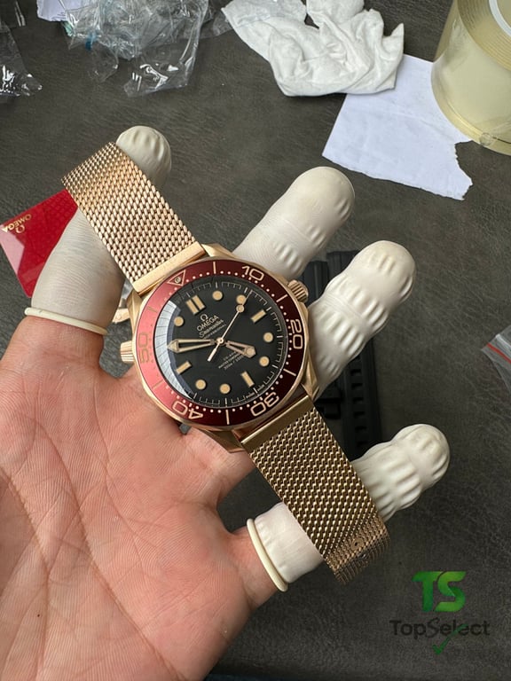 Omega Seamaster Diver 300M Bronze Gold Burgundy - 8