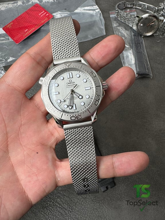 Omega Seamaster 300m Silver Dial - 13