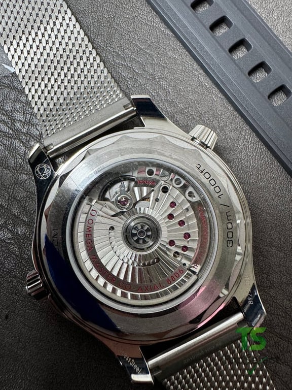 Omega Seamaster 300m Silver Dial - 7