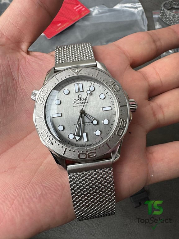 Omega Seamaster 300m Silver Dial - 10