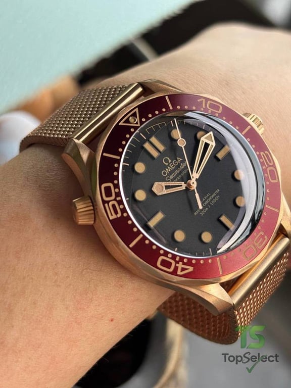 Omega Seamaster Diver 300M Bronze Gold - 8