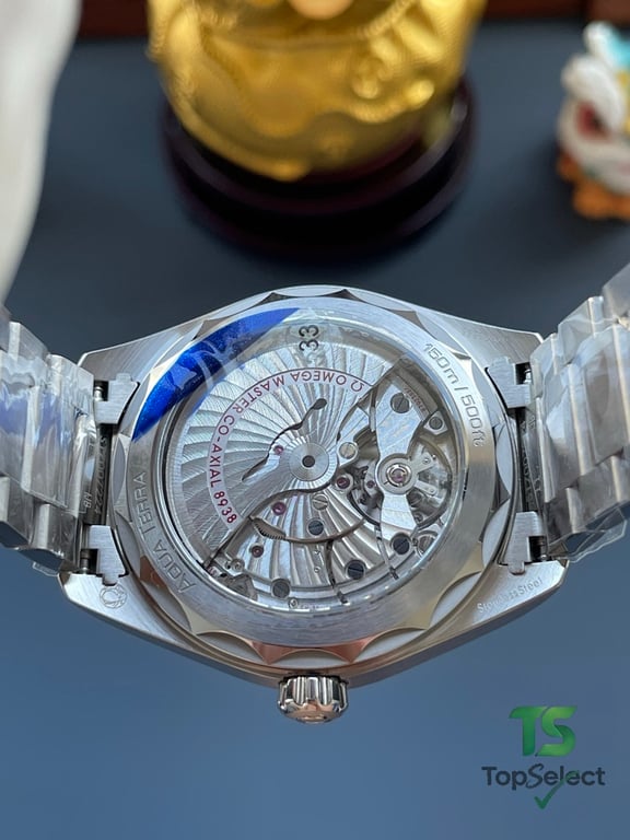 Omega Seamaster Aqua Terra Worldtimer Blue Dial - 5
