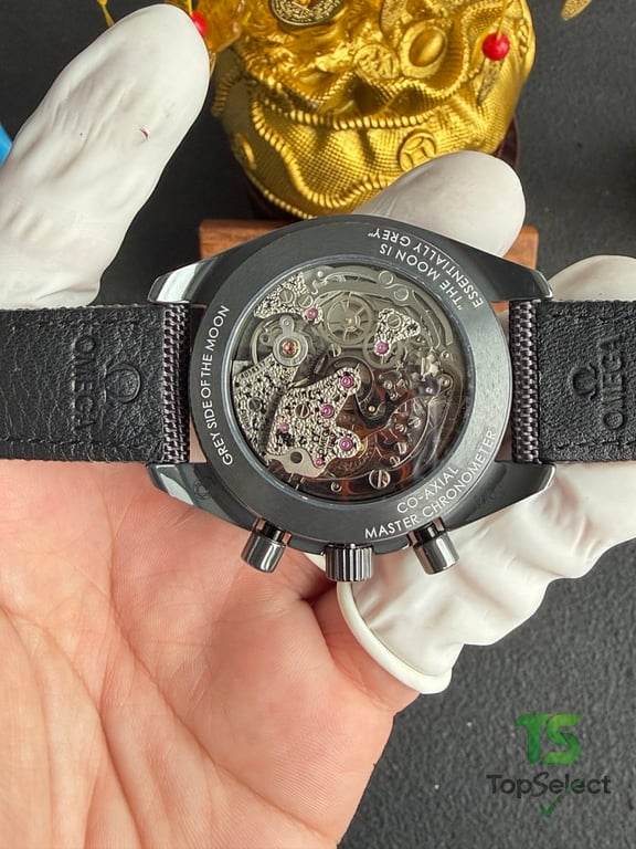 Omega Speedmaster Grey Side of the Moon - 11