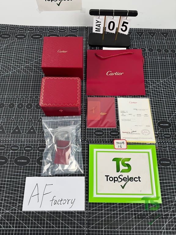 Cartier Tank Solo Steel Leather Watch - 120