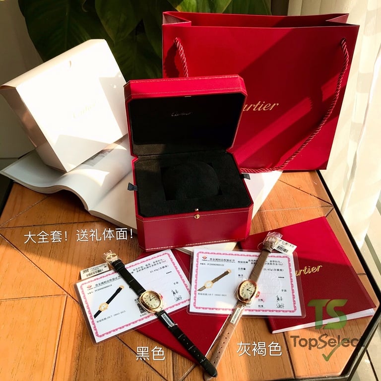 Cartier Baignoire Gold Watch with Leather Strap - 9