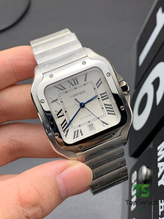 Cartier Santos de Cartier Silver - 6