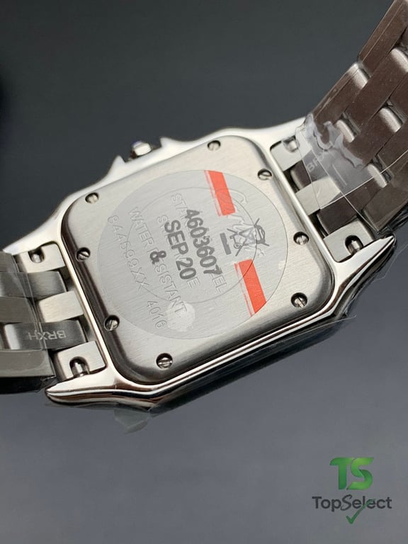 Cartier Panthère Silver Watch - 3