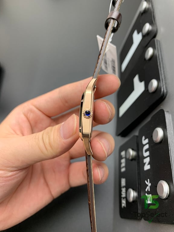 Cartier Santos-Dumont Rose Gold Brown Leather - 3