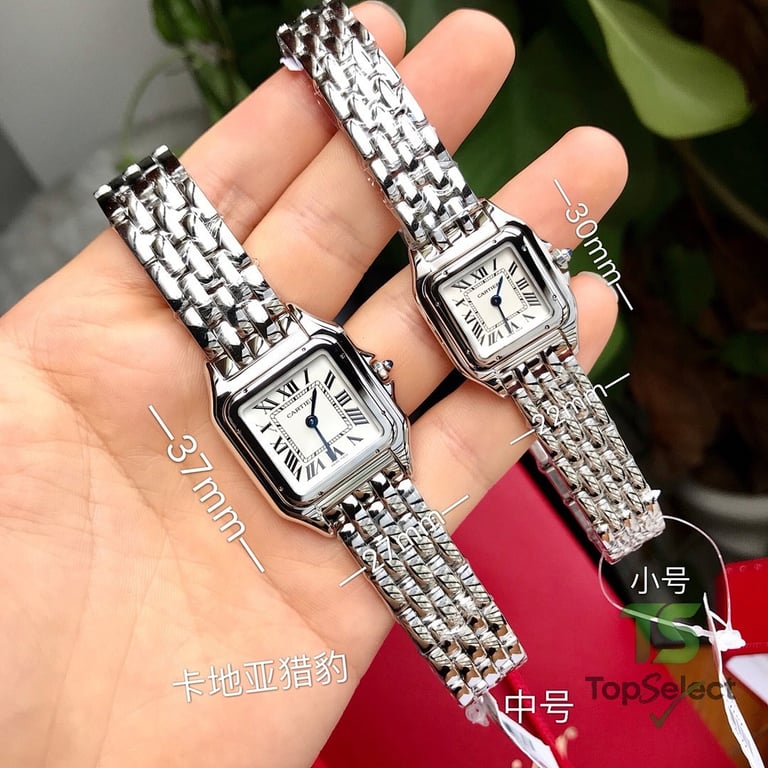 Cartier Panthère de Cartier Steel Watch - 4