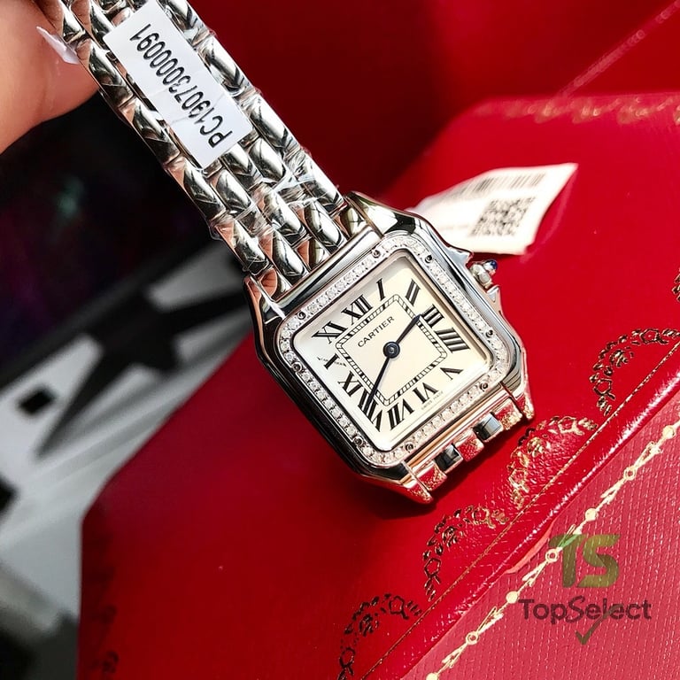 Cartier Panthère de Cartier W4PN0008 Medium - 2